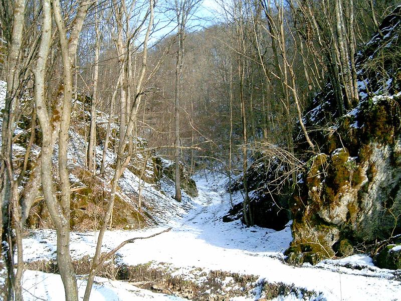 20110122 088.jpg